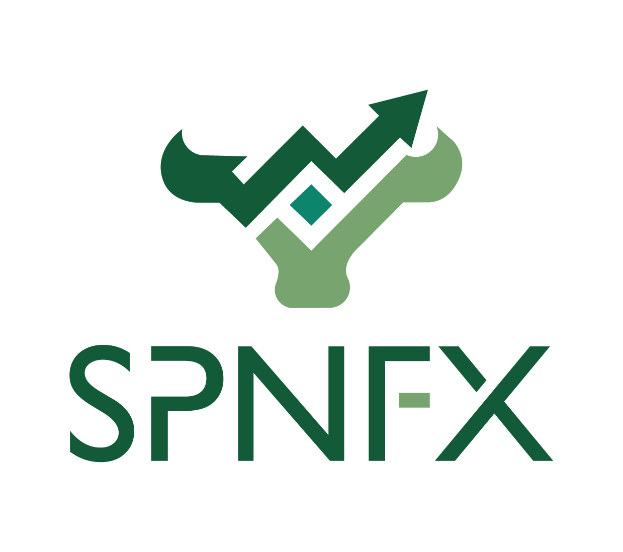 SPN FOREX LOGO